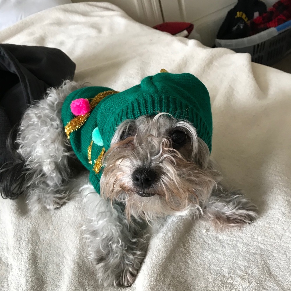 Meet your Posher, Summer